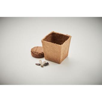 SUNFLOWER KIT Sunflower growing kit Fawn