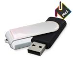 USB Stick Clip mit Doming 